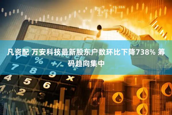 凡资配 万安科技最新股东户数环比下降738% 筹码趋向集中