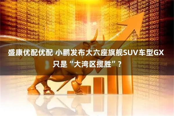 盛康优配优配 小鹏发布大六座旗舰SUV车型GX 只是“大湾区揽胜”？