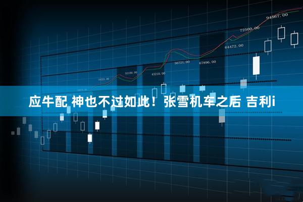 应牛配 神也不过如此！张雪机车之后 吉利i
