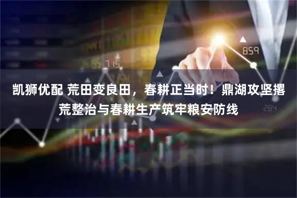 凯狮优配 荒田变良田，春耕正当时！鼎湖攻坚撂荒整治与春耕生产筑牢粮安防线